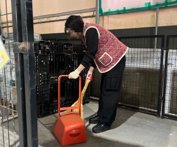 푸른나래 인천지부 유기견 봉사